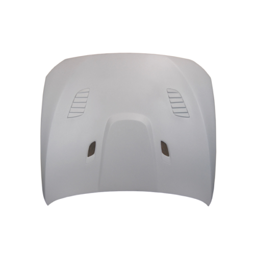 Cofano Fibra BMW F10 look GTR