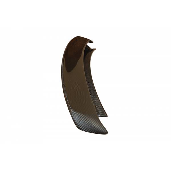 spoiler-carbonio-audi-tt-2006-2014-2.jpg